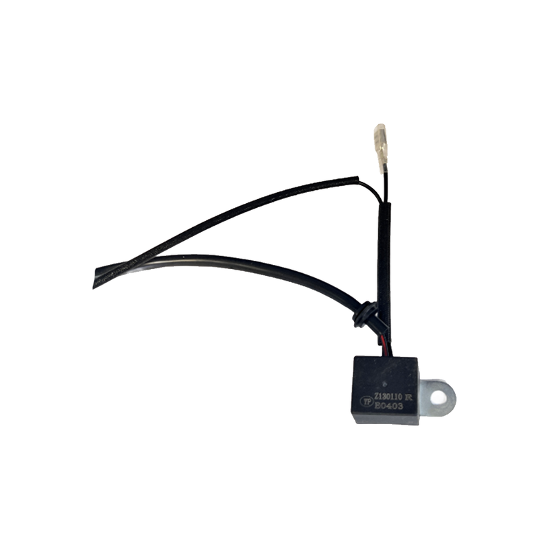 R740D Relay | 30003-Z130110-00A0